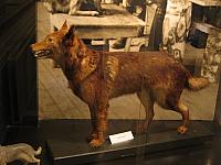 rajamuseo-05